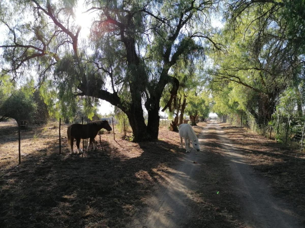 Doornfontein Guest Farm Hotel Cradock Buitenkant foto