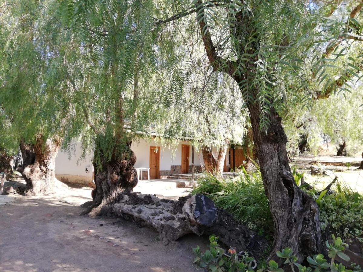 Doornfontein Guest Farm Hotel Cradock Buitenkant foto
